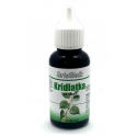 Krídlatka japonská - 30ml