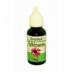 Echinacea purpurová (Echinacea purpurea L.) - Tinktúra, kvapky 30ml