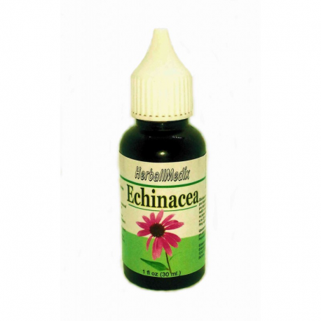 Echinacea purpurová (Echinacea purpurea L.) - Tinktúra, kvapky 30ml