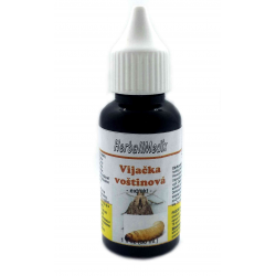 Víjačka voštinová - Tinktúra, kvapky 30ml